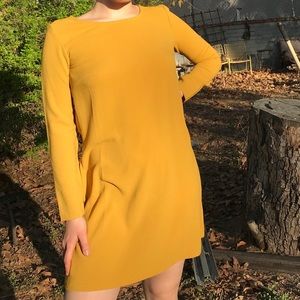 American Apparel Crepe long sleeve dress